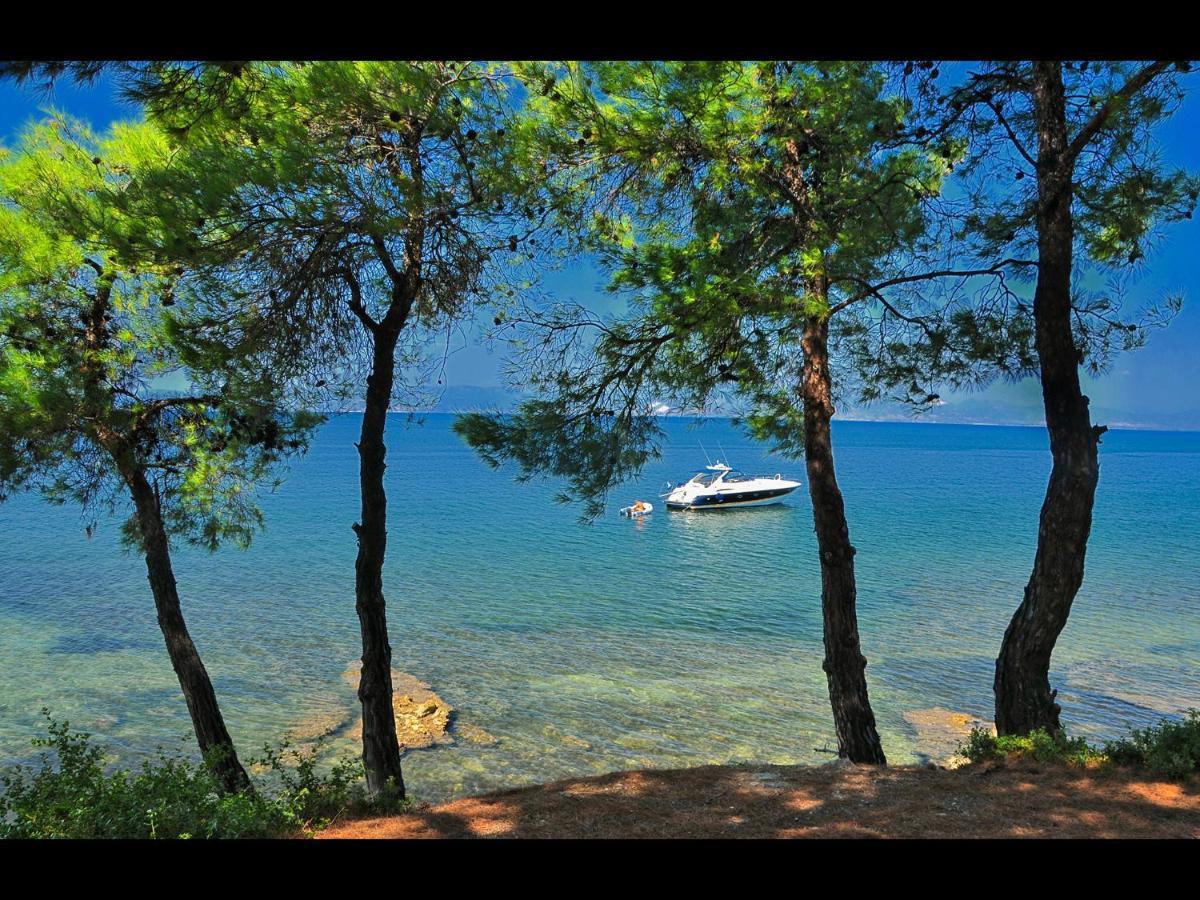 Villa Rania Skala Rachoni  Bagian luar foto